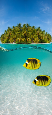 Sticker Porte Ocean 1 - Sticker Porte