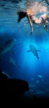 Sticker Porte Mer Requins - Sticker Porte