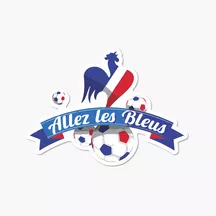 Echarpe FOOT : Equipe de France 2002 / Echarpe Officiel FFF Echarpe FOOT : Equipe de France 2002 / Echarpe Officiel FFF