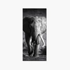 Sticker Porte Elephant 1 Sticker Porte Elephant 1