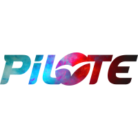 Sticker PILOTE Custom 4