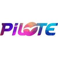 Sticker PILOTE Custom 3