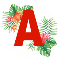 Sticker A Jeune Conducteur Fleurs Tropicales