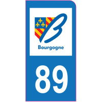 Stickers Garanti 5 Ans DECO-IDEES 1 Sticker pour Plaque dimmatriculation Moto 61 ORNE Nos Stickers sont recouvert dun pelliculage de Protection sp/écifique