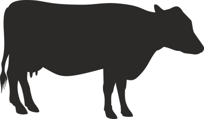 Sticker Vache - Stickers Animaux Sticker Vache - Stickers Animaux