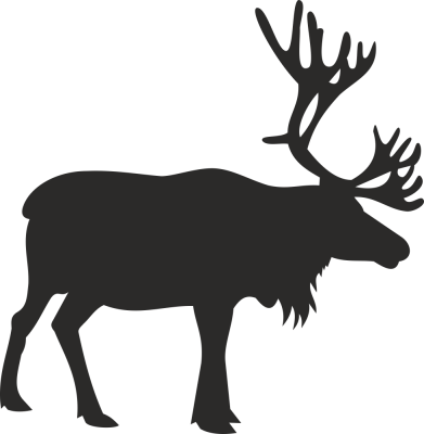 Sticker cerf - Stickers Animaux Sticker cerf - Stickers Animaux