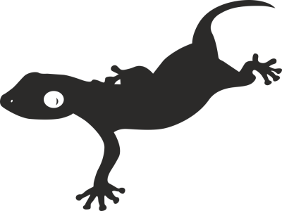 Sticker salamandre - Stickers Divers Animaux