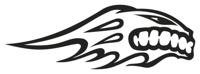 Sticker No Fear - Stickers Racer & Drift Sticker No Fear - Stickers Racer & Drift