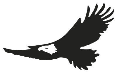 aigle - Stickers Oiseaux