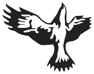 aigle - Stickers Oiseaux aigle - Stickers Oiseaux