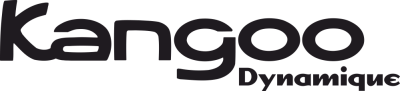 Sticker Losange Kangoo Dynamique - Stickers Logo Divers
