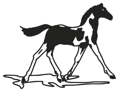 chevaux - Stickers Cheval chevaux - Stickers Cheval