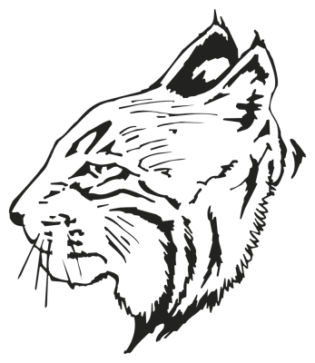lynx - Stickers Felin lynx - Stickers Felin