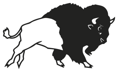 bison - Stickers Taureaux
