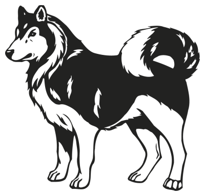 chien husky - Stickers Chiens