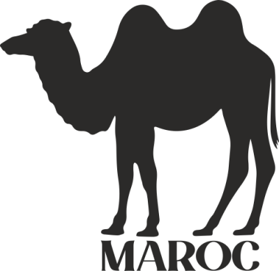 Sticker muraux Chameau Maroc - Stickers Monuments