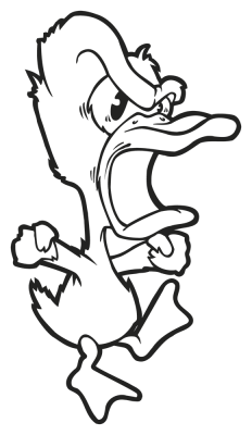 canard - Stickers Oiseaux canard - Stickers Oiseaux