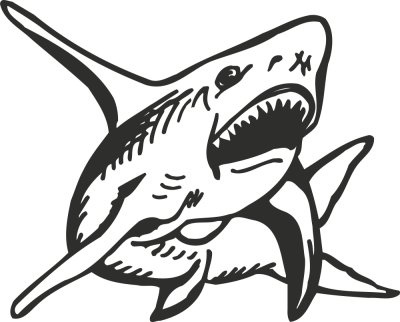 requin - Stickers Poissons