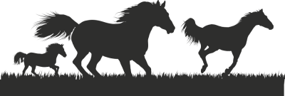 Stickers chevaux 1 - Stickers Cheval Stickers chevaux 1 - Stickers Cheval
