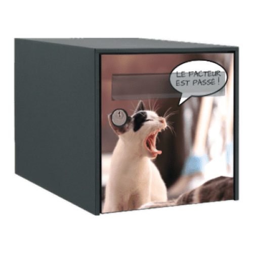 3 Stickers Pour Boîte Aux Lettres – Motif Chat – 30x30cm – ADS