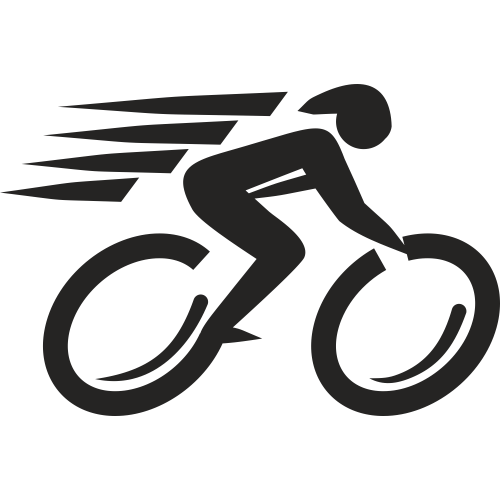Badge Autocollant Vélo 3D – Tête En Alliage – Emblème Personnalisable Pour Cadre