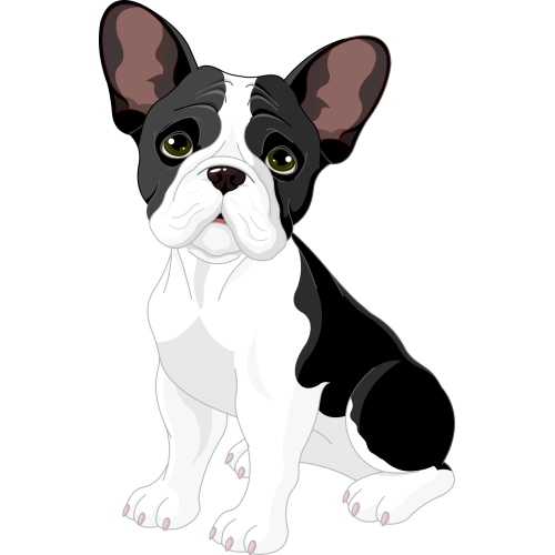 Autocollant Vinyle Bouledogue Français Pour Pare-Chocs Voiture - Taille S 12x15cm - Qualité Premium