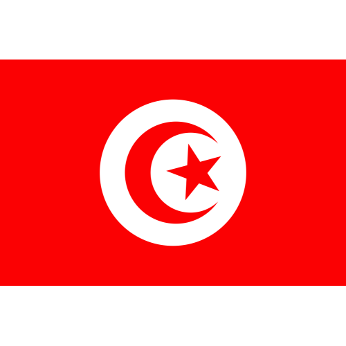 Autocollant Plaque D'Immatriculation Europe Tunisie - F - Fabriqué En France, Neuf