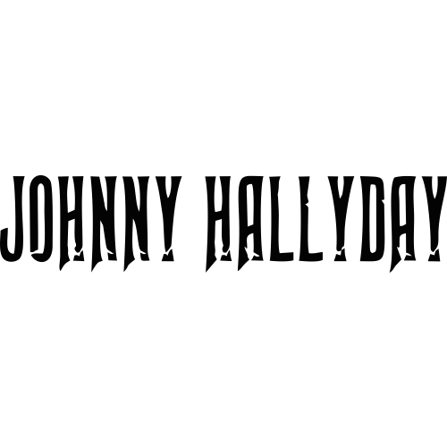 Sticker Johnny Hallyday 9 | MPA Déco
