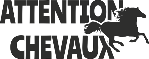 Stickers attention chevaux pour van store