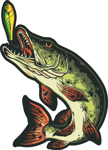 Comment bien débuter la pêche du brochet à la cuiller