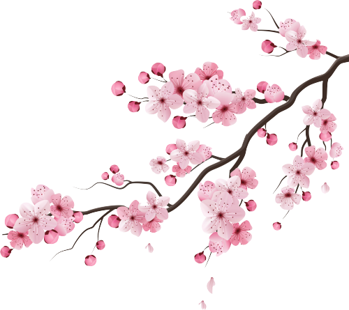Sticker Branche Cerisier Japonais Ref D177 Mpa Deco Sticker Branche Cerisier Japonais Ref D177 Mpa Deco