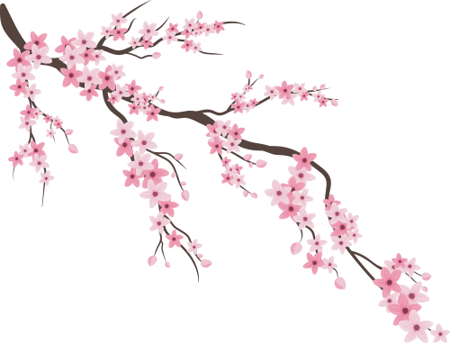 Sticker Branche Cerisier Japonais 2 Ref D Mpa Deco Sticker Branche Cerisier Japonais 2 Ref D Mpa Deco