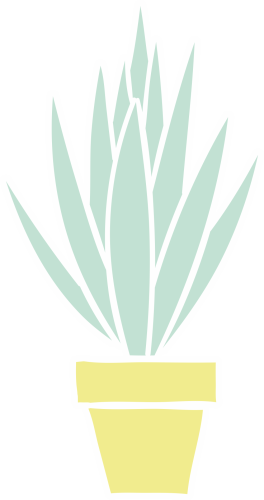 Autocollant Plante Et Cactus 13 - Stickers Fleurs