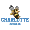 T-shirt femme personnalisé - Sport - "Charlotte hornets"
