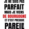 T-shirt homme personnalisés - Humour - "Je ne suis pas parfait..."