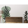 Sticker Minimaliste Boheme Plantes Sticker Minimaliste Boheme Plantes