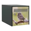 Sticker boîte aux lettres personnalisé Chouette 4