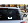 Sticker Peeking Chat 5 Sticker Peeking Chat 5