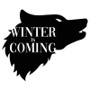 T-shirt homme personnalisé - Série - "Winter is coming"