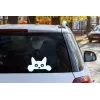 Sticker Peeking Chat Sticker Peeking Chat