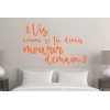 Sticker Citation Vis comme si tu devais mourir demain Sticker Citation Vis comme si tu devais mourir demain