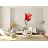 Sticker Fleur Tulipe Rouge Aquarelle Sticker Fleur Tulipe Rouge Aquarelle