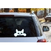 Sticker Peeking Chat 2 Sticker Peeking Chat 2