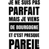 T-shirt homme personnalisés - Humour - "Je ne suis pas parfait..."