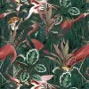 Affiche personnalisée Jungle Flamant Rose