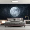 Papier Peint Panoramique Lune