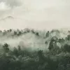 Papier Peint Panoramique Forêt Brumeuse