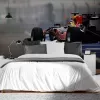 Papier Peint Panoramique F1 Racing