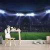 Papier Peint Panoramique Stade de Foot