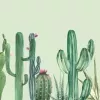 Papier Peint Panoramique Cactus 2